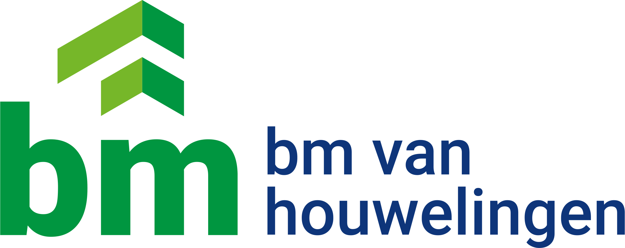 BM van Houwelingen