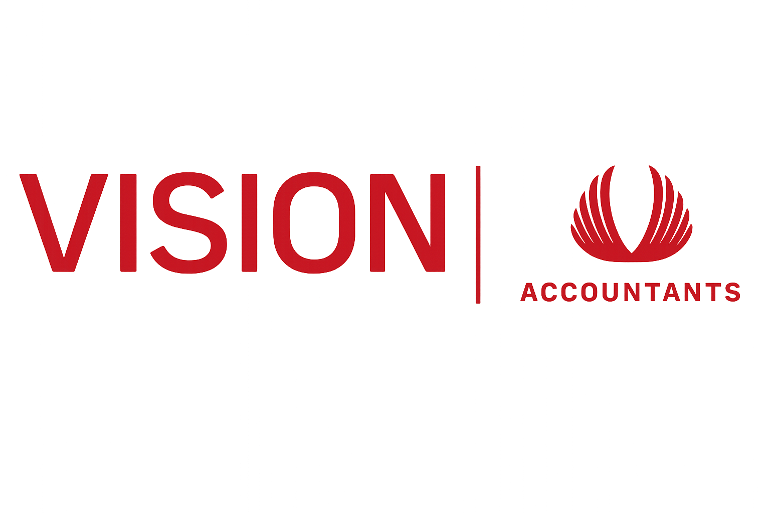 Vision accountants